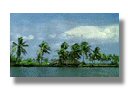 Vembanad Lake